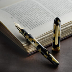 Platinum #3776 Celluloid Calico Fountain Pen